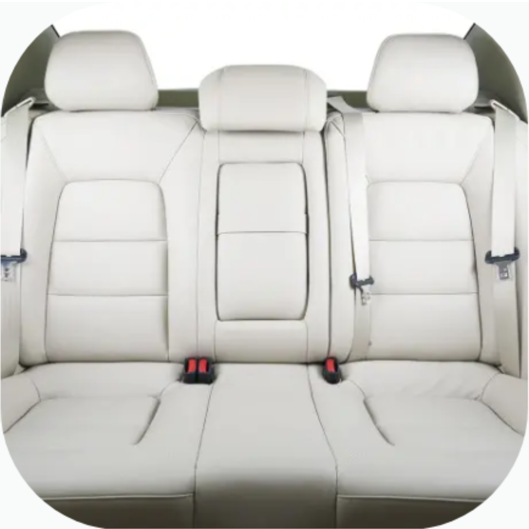Thermostar Professional Plus S4