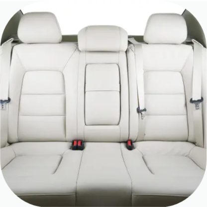 Thermostar Professional Plus S4