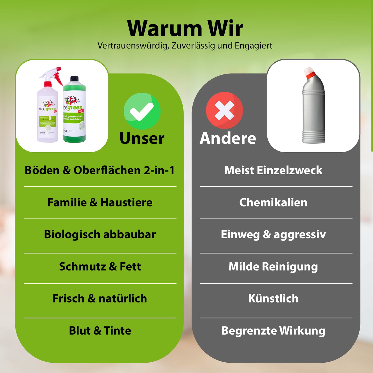 CleanPro Light Set
